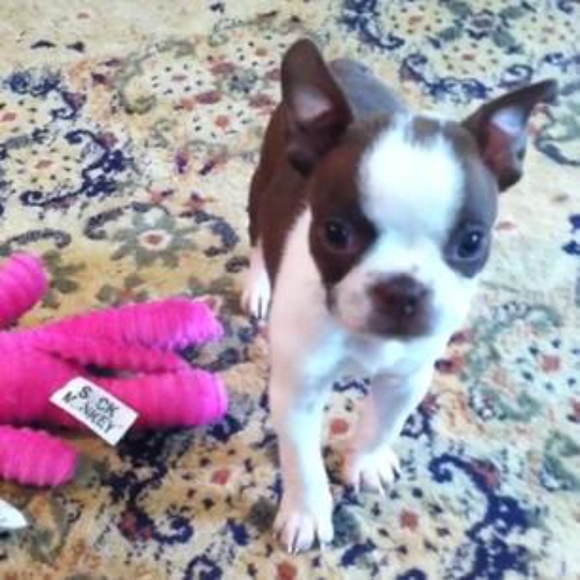 Meet your Posher, Seasun2375 - Picture 6 of 6